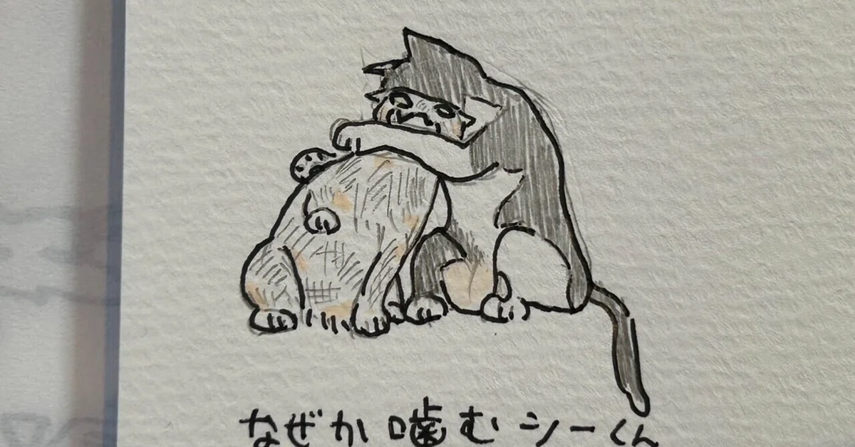 見出し画像