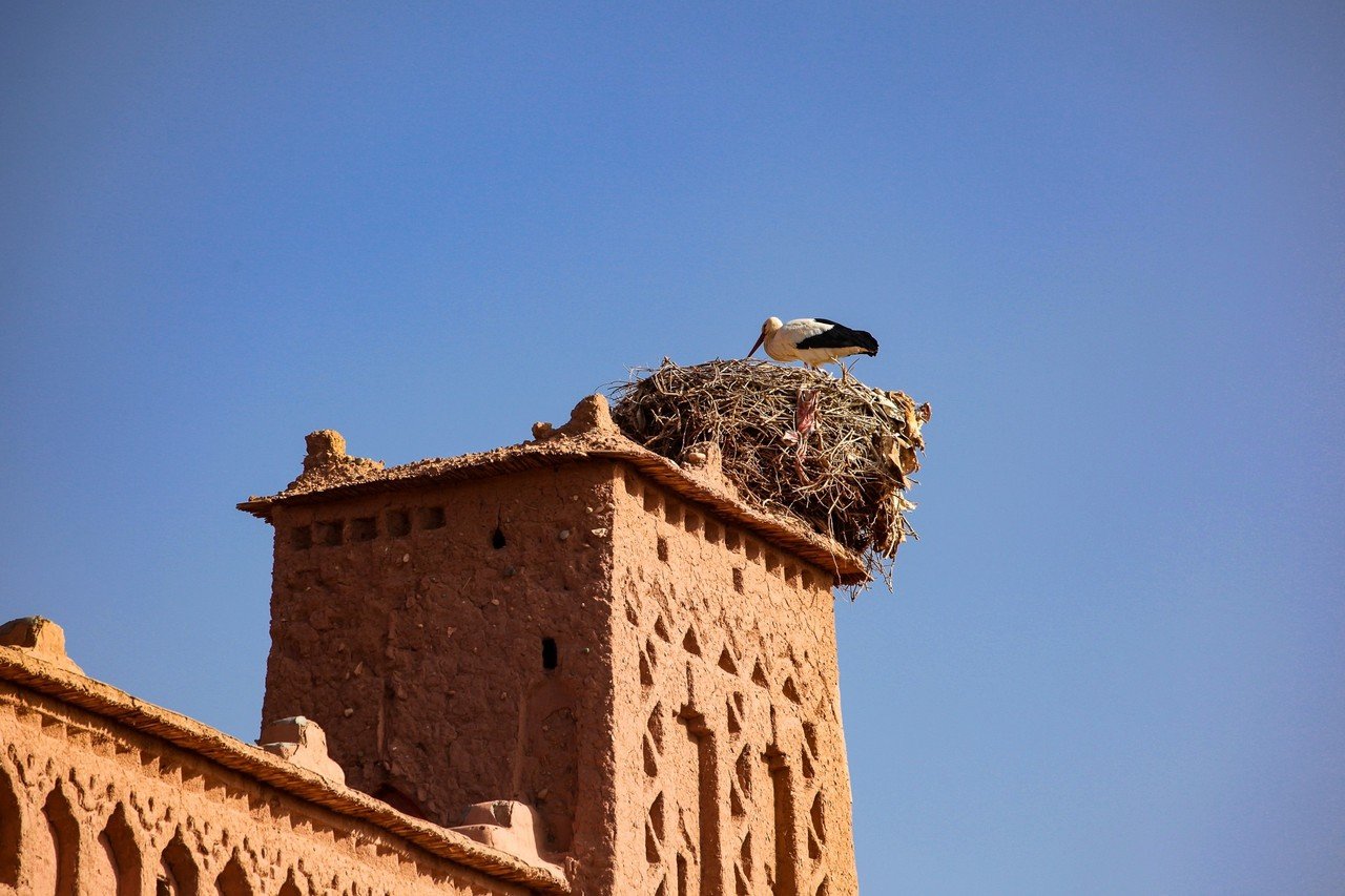 モロッコの世界遺産 アイト ベン ハドゥ Zenpaku Note モロッコの世界遺産 アイト ベン ハドゥ Zenpaku Note