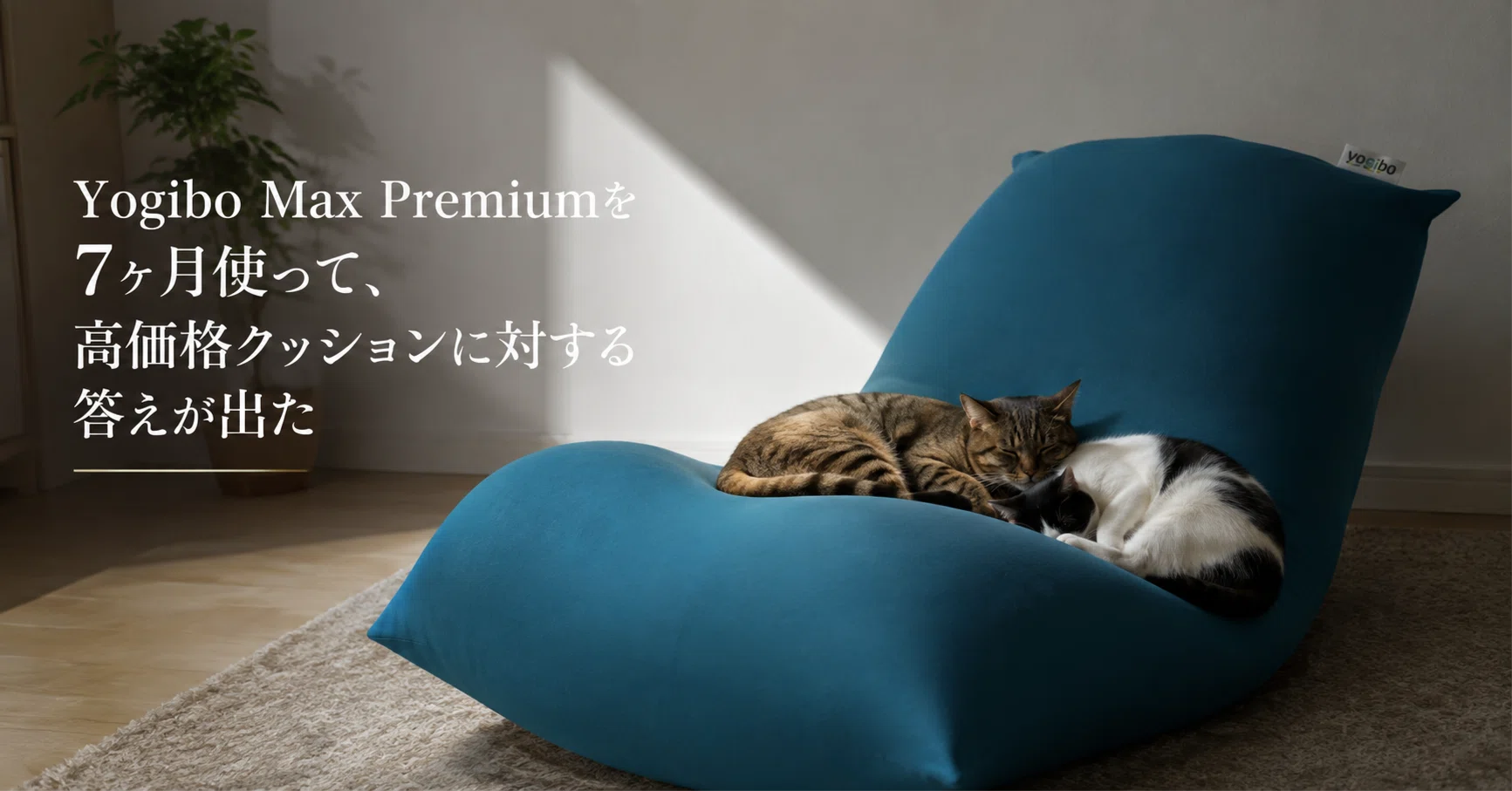 Yogibo Max Premiumを7ヶ月使って、高価格クッションに対する答えが出
