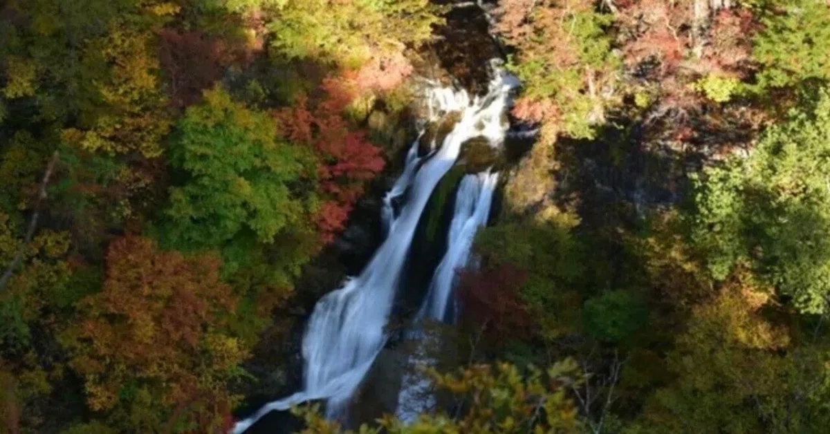 [Tochigi Edition] Nikko's Waterfalls! Introducing Recommended Spots ...
