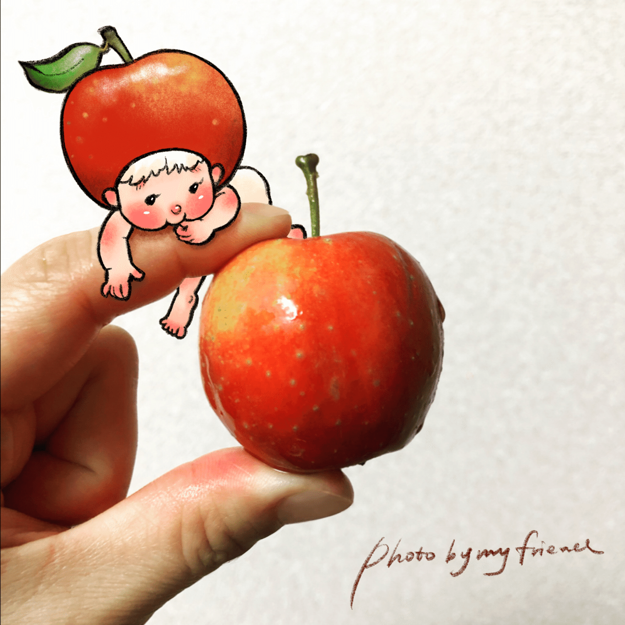 りんごの妖精ちゃん おきなかやすこ Note
