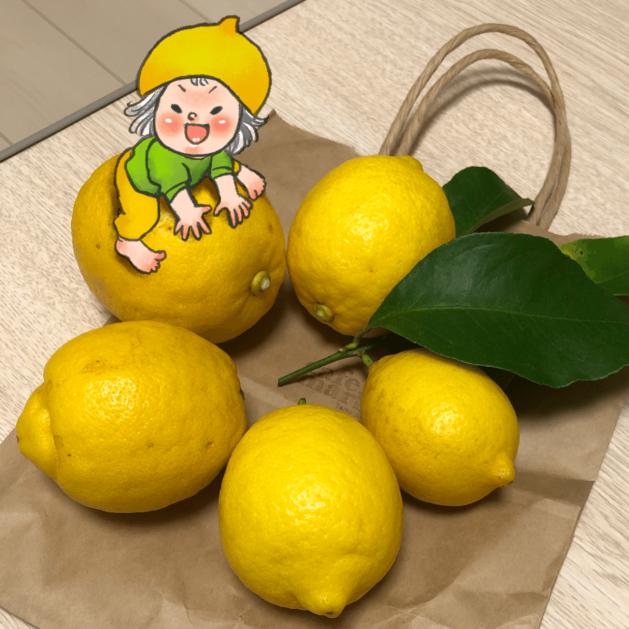 レモンの妖精ちゃん おきなかやすこ Note