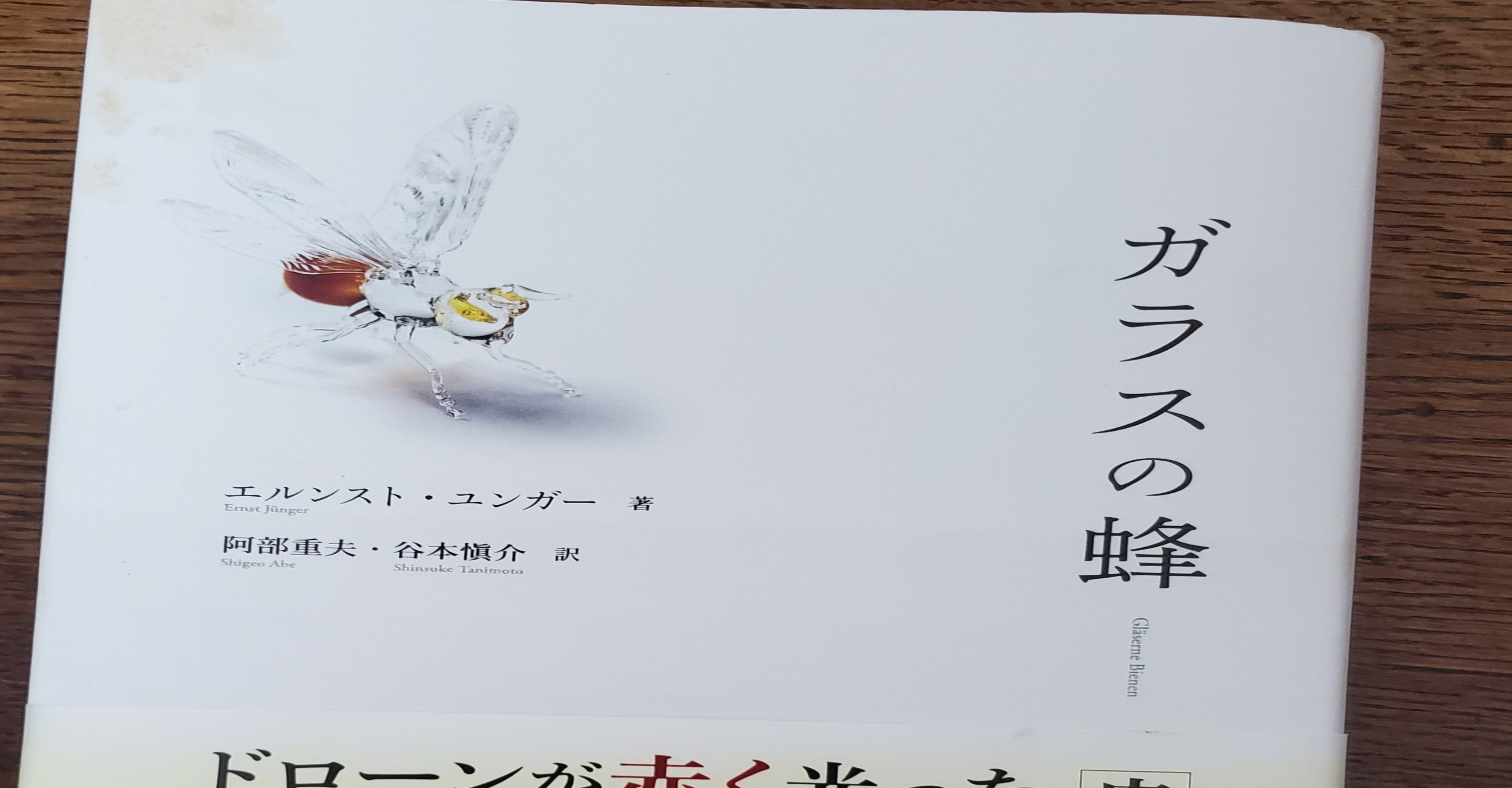 ガラスの蜂 エルンスト ユンガーという 世紀のゲーテ と呼ばれる偉人にびっくり 1957年にドローンからバーチャルゲームからフルcg映画まで予見しているsfを書いていることにびっくり 原 正樹 Note ガラスの蜂 エルンスト ユンガーという 世紀のゲーテ と呼ばれる偉人にびっくり 1957年にドローンからバーチャルゲームからフルcg映画まで予見しているsfを書いていることにびっくり 原 正樹 Note