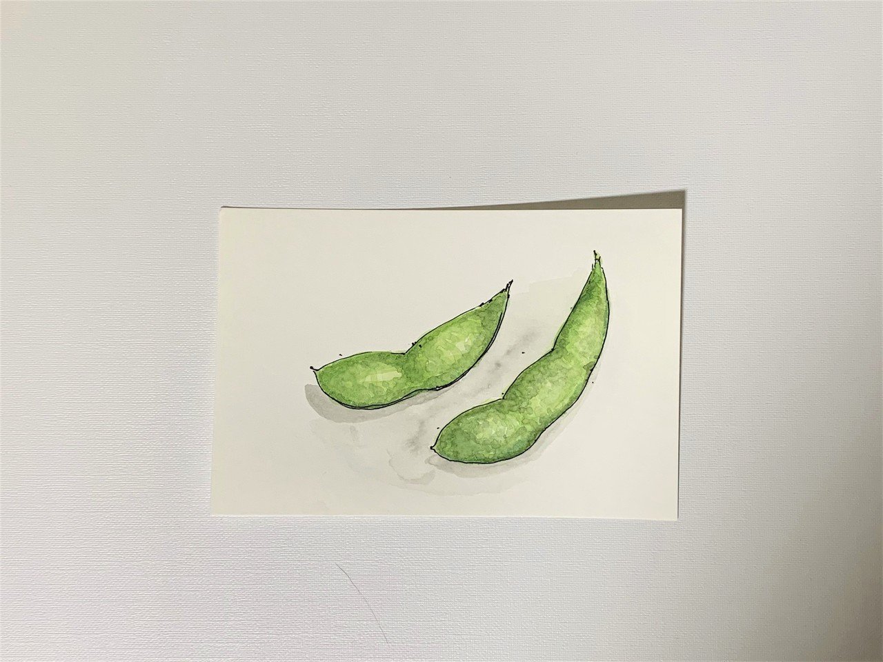 枝豆はどう描いたらいいの 後編 色をつける Chokottto美術部 Note