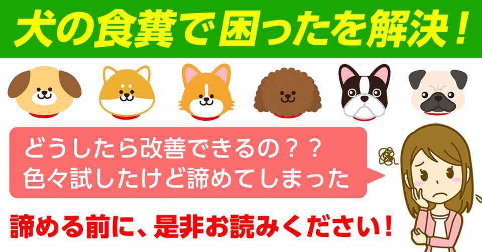 犬の食ふんを防止 やめさせる方法 ドッグフード選び編 犬の食糞 改善奮闘記 Note