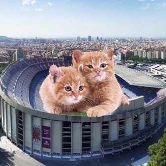 サッカーの面白さを教えてくれるスター選手 蓮 Note