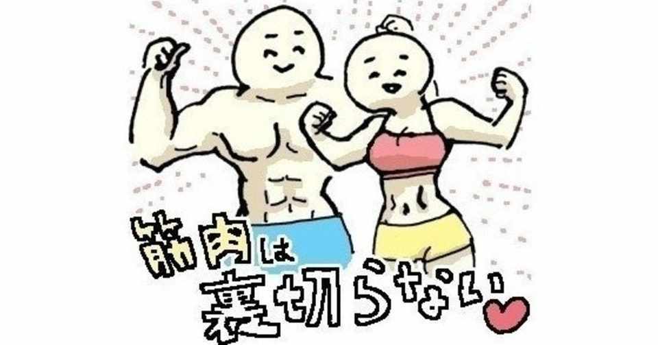 医師が自分の為に考えた上半身のトレーニングメニュー ダンベル編vsチューブ編を比較してハイブリッド化してみた 法月ロイ健康塾 医師兼研究者が一生使える知識をあなたに Note