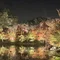 魚のラビちゃん