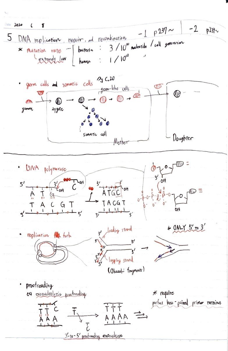 The Cell まとめノート #5 