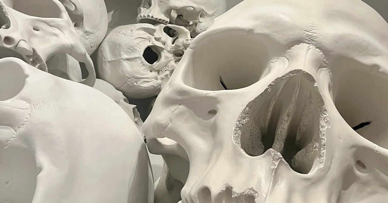 高品質！ エミュ　頭骨 ロン・ミュエク展に行ってきた｜カルペ・ディエムと頭蓋骨｜にぶんのいち