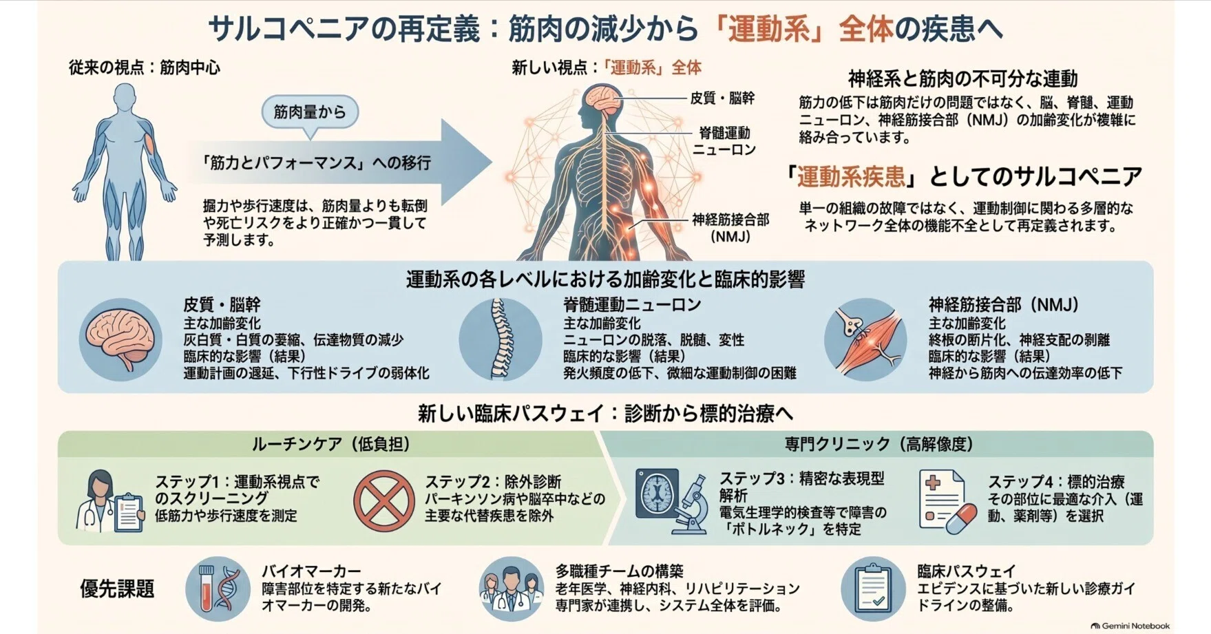 筋肉だけの問題ではない」サルコペニアを「老化運動システム疾患