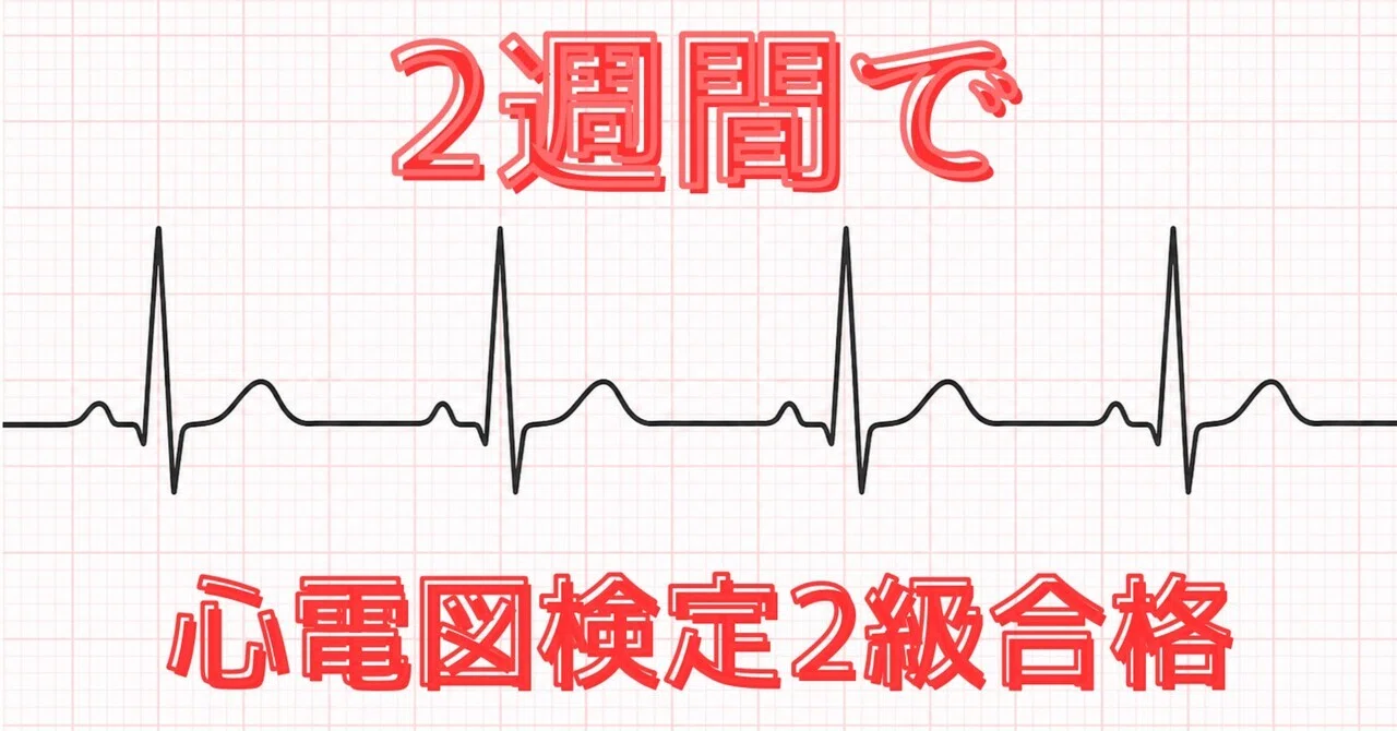 心電図検定2級】2週間でコスパよく合格した方法！医学生におすすめ！｜北斗