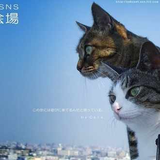 猫好きのためtl 猫の集会場 にゃぱねっと Note