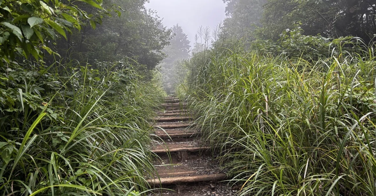 After the Challenge Hike: What I'm Learning Through Mountain Walking｜Kiyoca