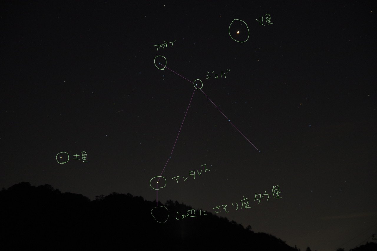 早速k S2で星空 さそり座 をとってみました 腕が悪いのと家の中から撮ったためか画質はよくないですが ふもふも Note