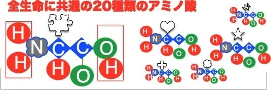 03タンパク質2