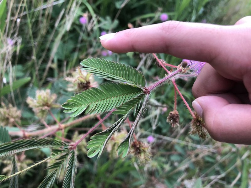 生まれてきてくれて ありがとう 新里哲也 ビジネスプロデューサー沖縄在住 Note