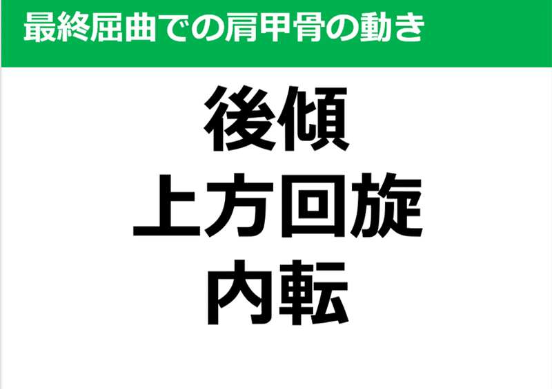 小胸筋の基礎 Y K Note