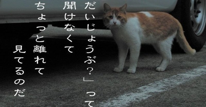 コミュニケーションが得意なひとの特徴とは フツーの日本人が鼻血出るほど勉強して英会話スクールを立ち上げる七転八倒ブログ書きます note