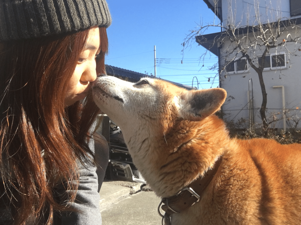 少女漫画脳のわたしが バリバリ伝説 を愛する理由 柳本曙光 やなぎもとひかる Note 少女漫画脳のわたしが バリバリ伝説 を愛する理由 柳本曙光 やなぎもとひかる Note