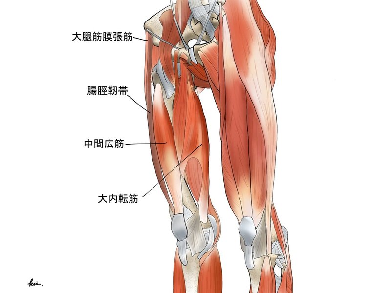 膝oaの腸脛靭帯の かたさ をほぐす すぐ使える2つの運動療法 理学療法士 ピラティス カラダnote吉田直紀 Note 膝oaの腸脛靭帯の かたさ をほぐす すぐ使える2つの運動療法 理学療法士 ピラティス カラダnote吉田直紀 Note
