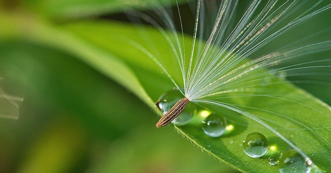 毛穴の黒ずみは汚れだけではない 毛が 山口ゆり Note