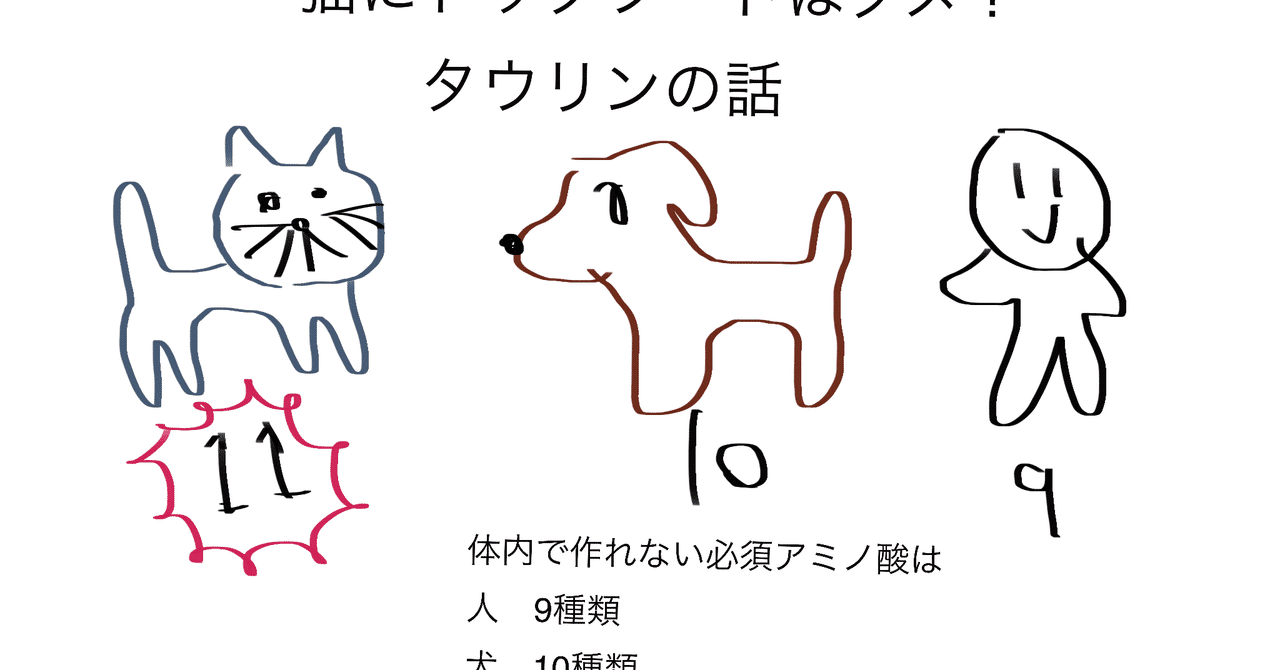 肉食動物の猫にドッグフードを与えると タウリン の話 獣医さんとやってみよう自由研究 Note