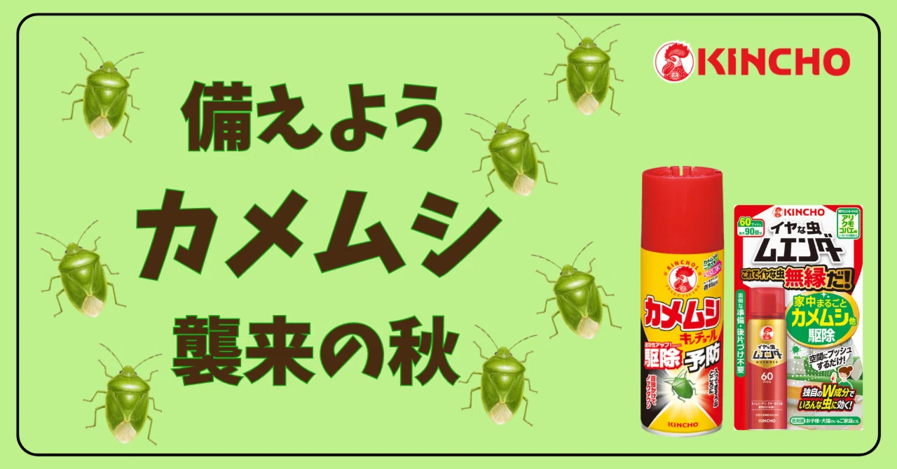Kincho Insider Story] Let's prepare for the autumn stink bug