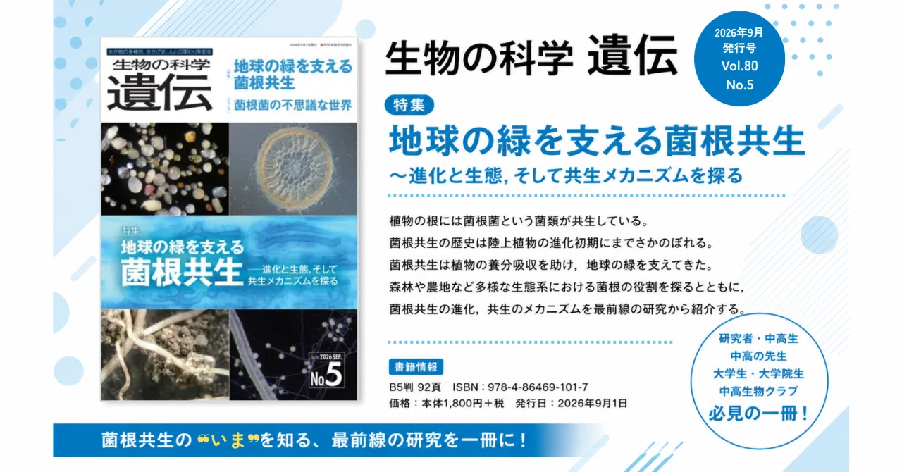 菌根共生とは何か──『生物の科学 遺伝』2026年9月号 特集「地球の緑