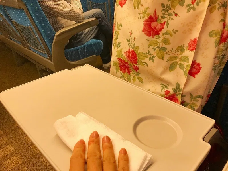 東海道新幹線の今 ウィズコロナ ちょこっとマナー で経済を回そう 井垣利英 Igaki Note