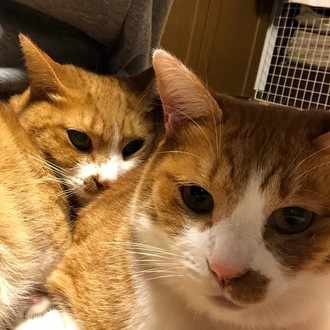 彼氏と彼女と元カノについて おのちん Note