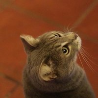 ごあいさつ りくのすみこ Note ごあいさつ りくのすみこ Note