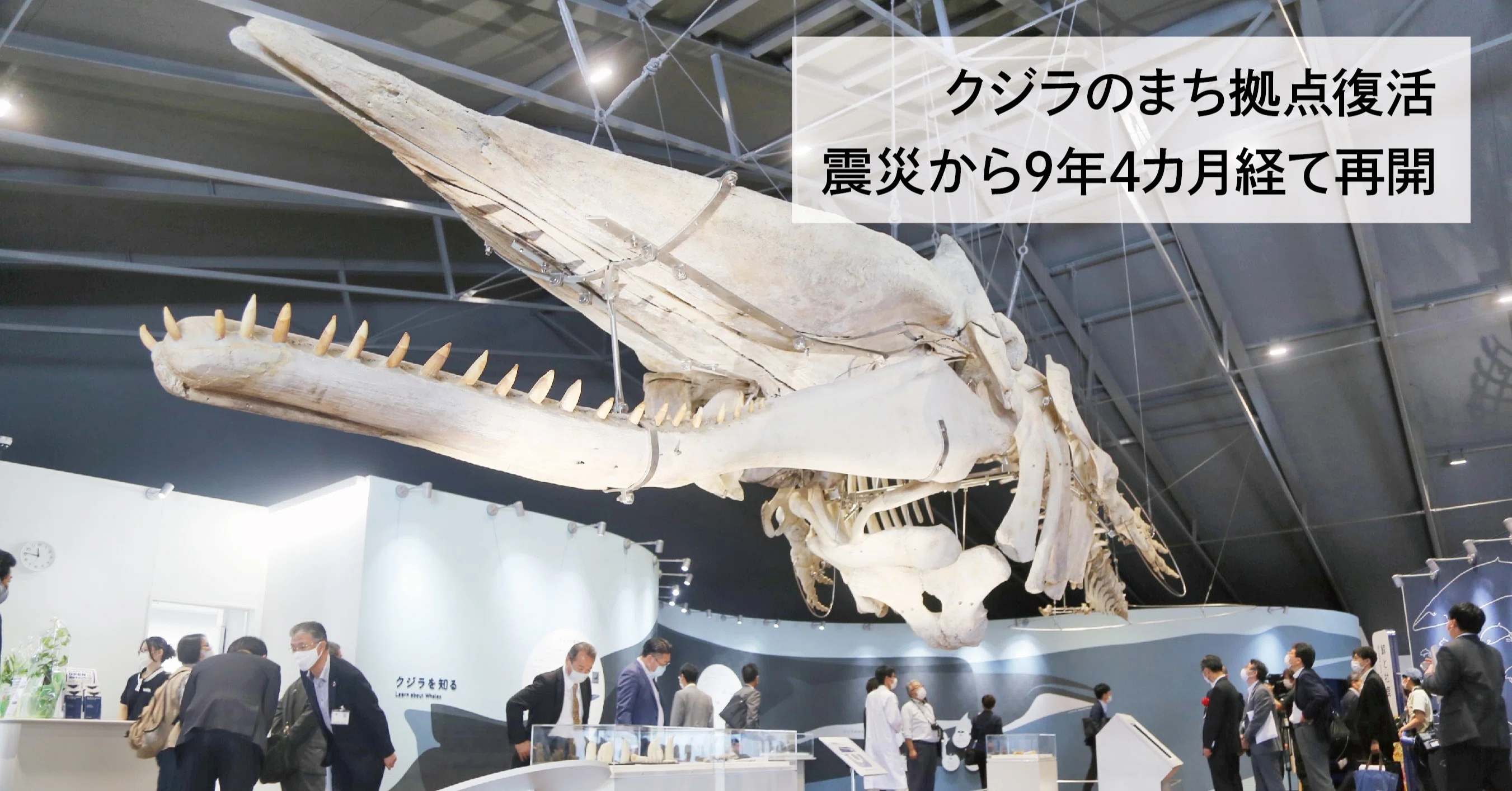 クジラのまち拠点復活 おしかホエールランド 震災9年4カ月経て再開