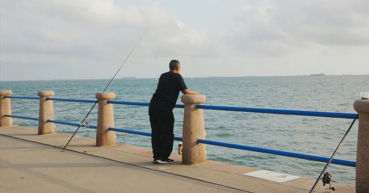 While Fishing Tackle Shops Are Decreasing, the Number of Anglers Is ...