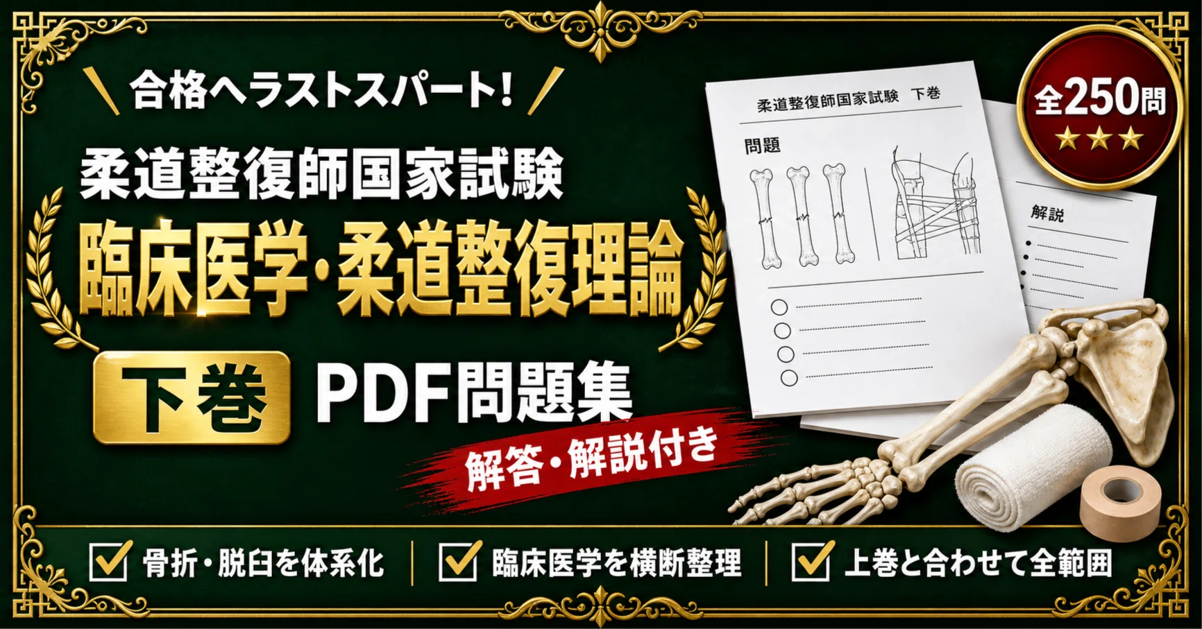 柔道整復師国家試験 対策問題集 全2冊セット｜スタディルーム資格