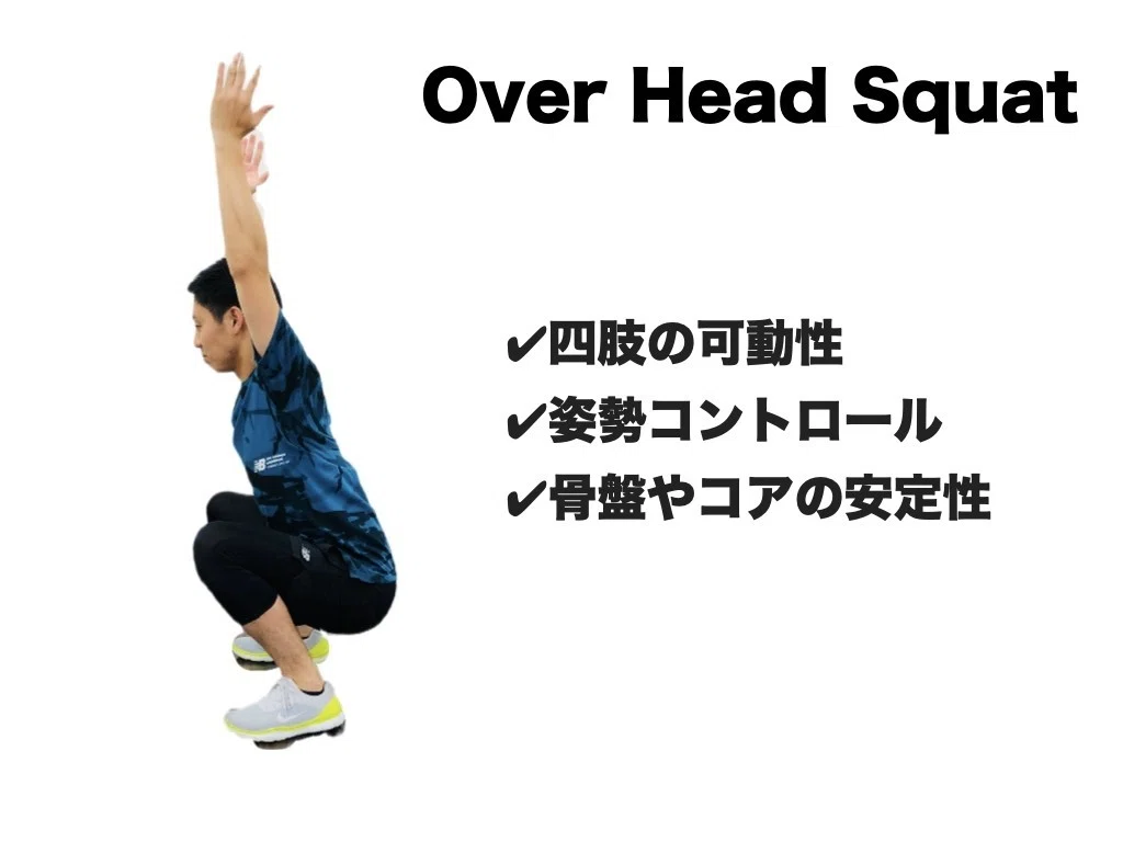 【入手困難】PAT.fit PATmat 動作評価 リハビリ トレーニング 入手困難】PAT.fit PATmat 動作評価 リハビリ トレーニング 【公式通販】