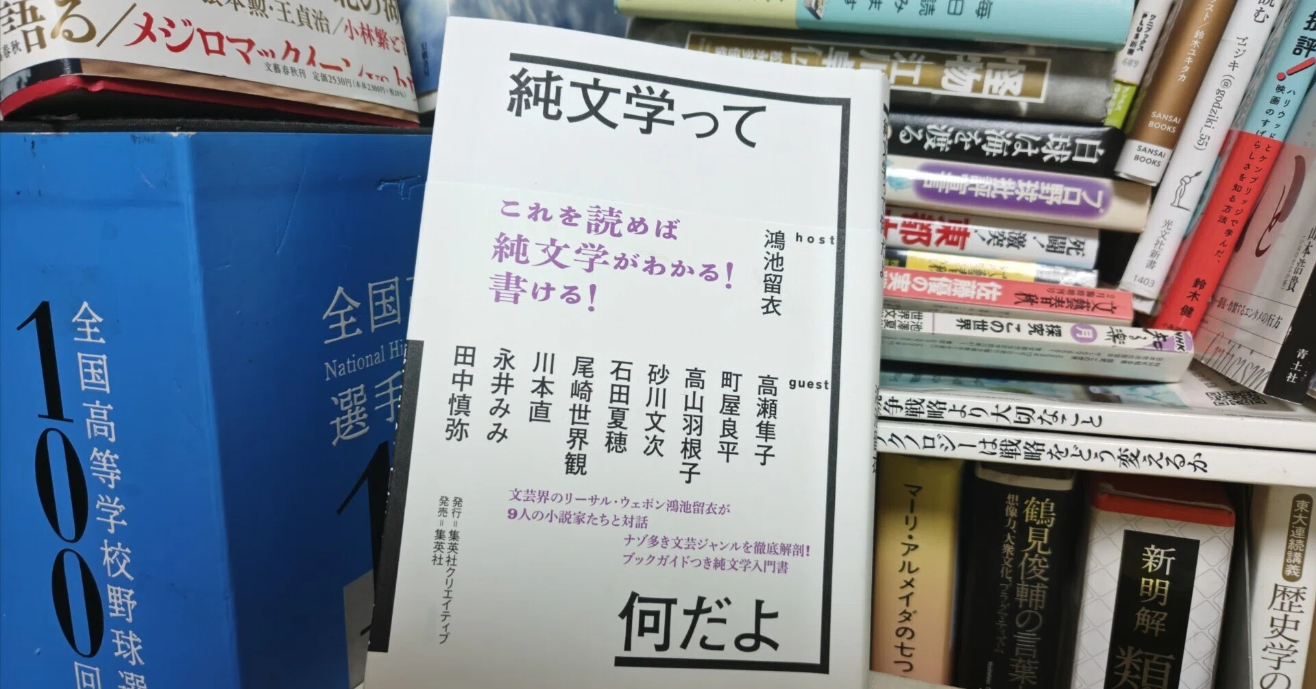 新刊書評/鴻池留衣著『純文学って何だよ』（集英社、2026年）｜書評