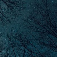 ペンギンの潜水能力のひみつ 3 Shiomikozue Note