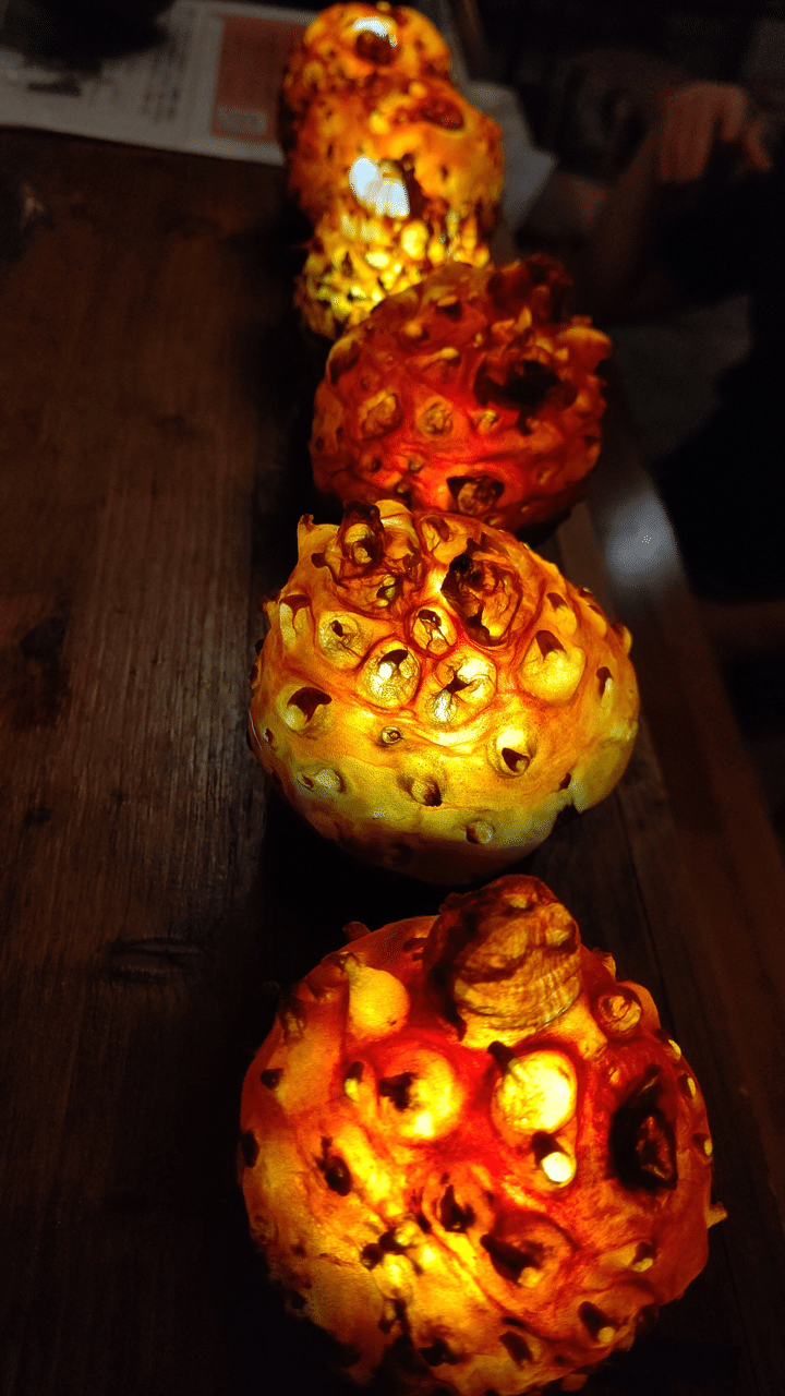 青森 ホヤランプを作ってみた話 酔処みねのみね Note 青森 ホヤランプを作ってみた話 酔処みねのみね Note