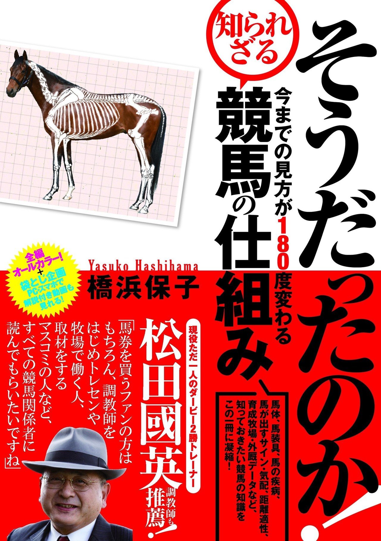 ダマスカス蹄鉄 馬コースター/6種類/蹄鉄/セット有/贈り物に | 長崎の対州馬ひん