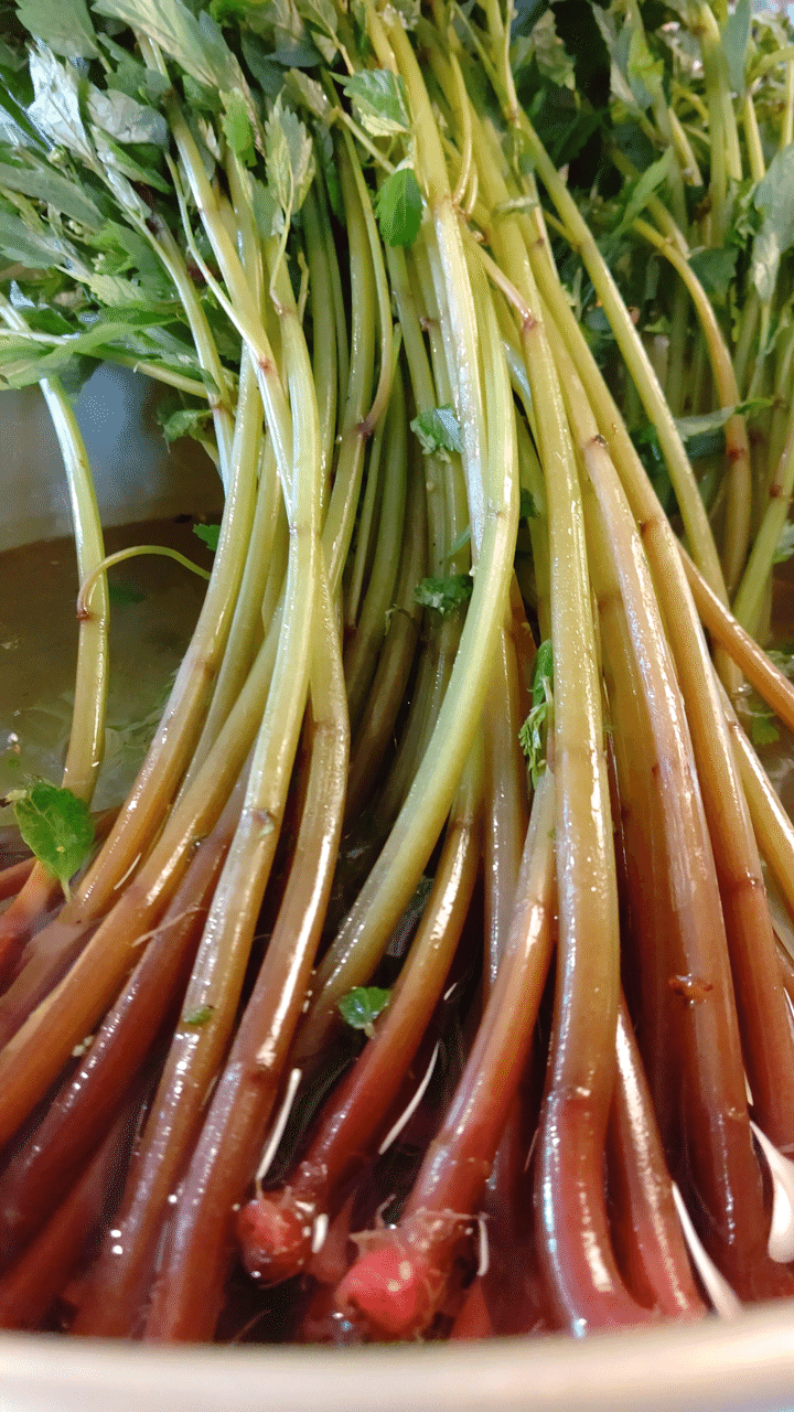 青森 ホヤランプを作ってみた話 酔処みねのみね Note