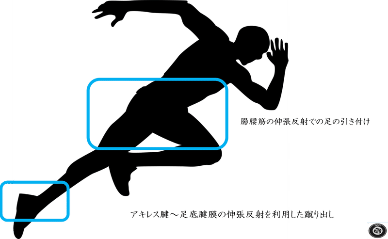 Fcpインソールの全貌 Vol 2 Sunny サッカー 脳科学 フィジカル Note Fcpインソールの全貌 Vol 2 Sunny サッカー 脳科学 フィジカル Note