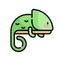 カメレのブランド部