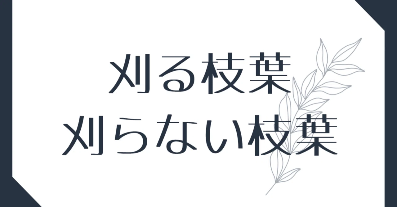 見出し画像