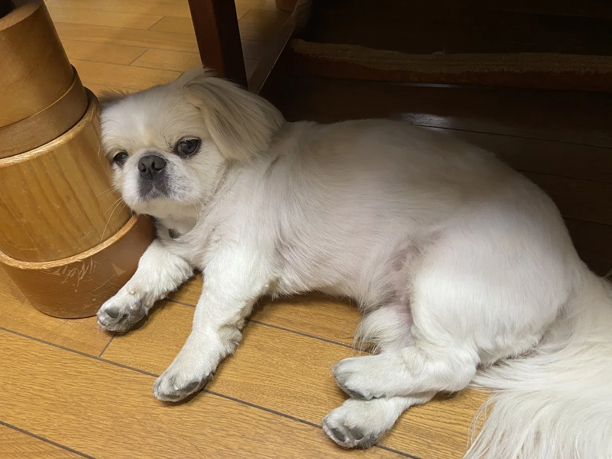 画像1
