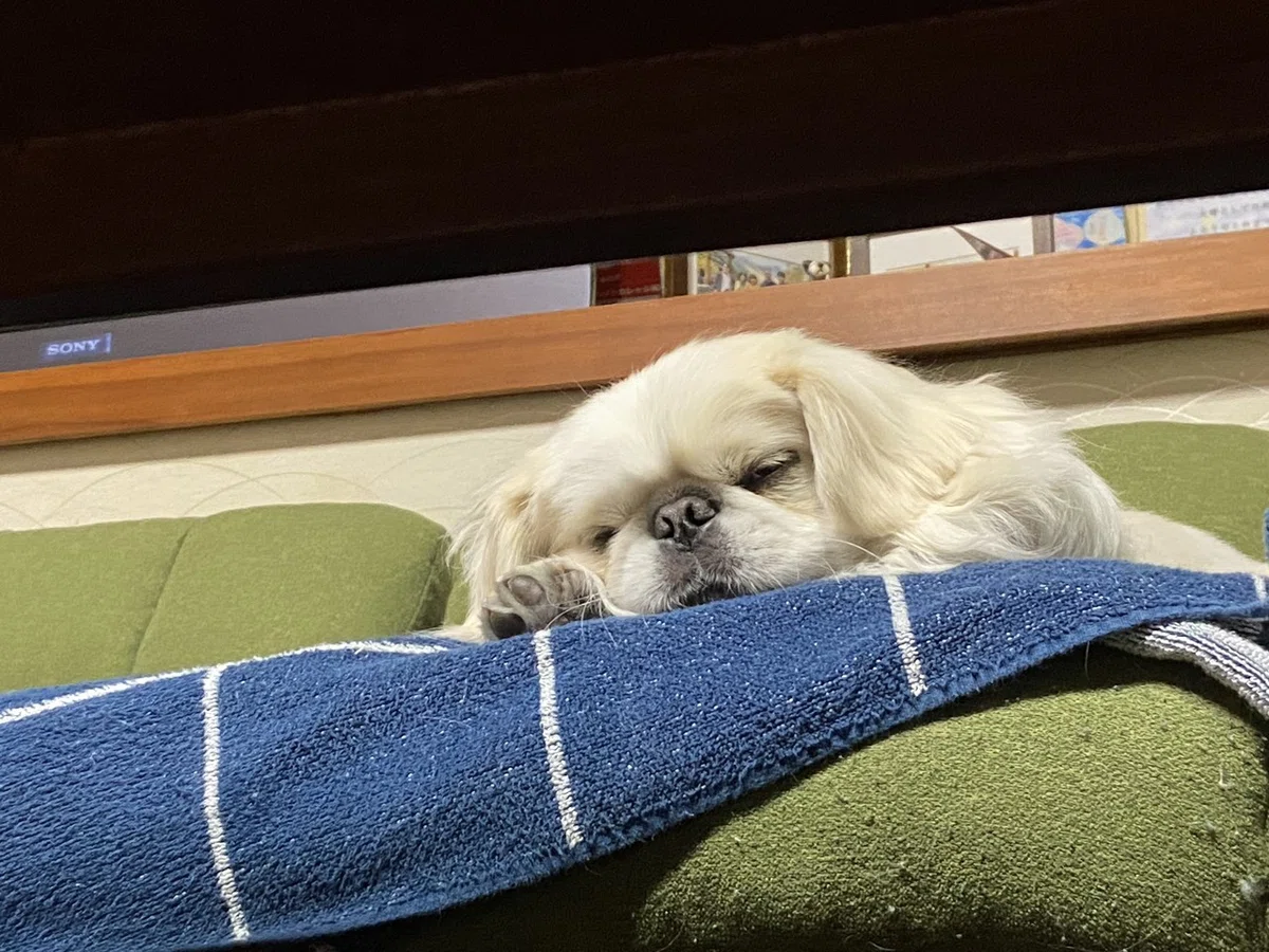 画像3