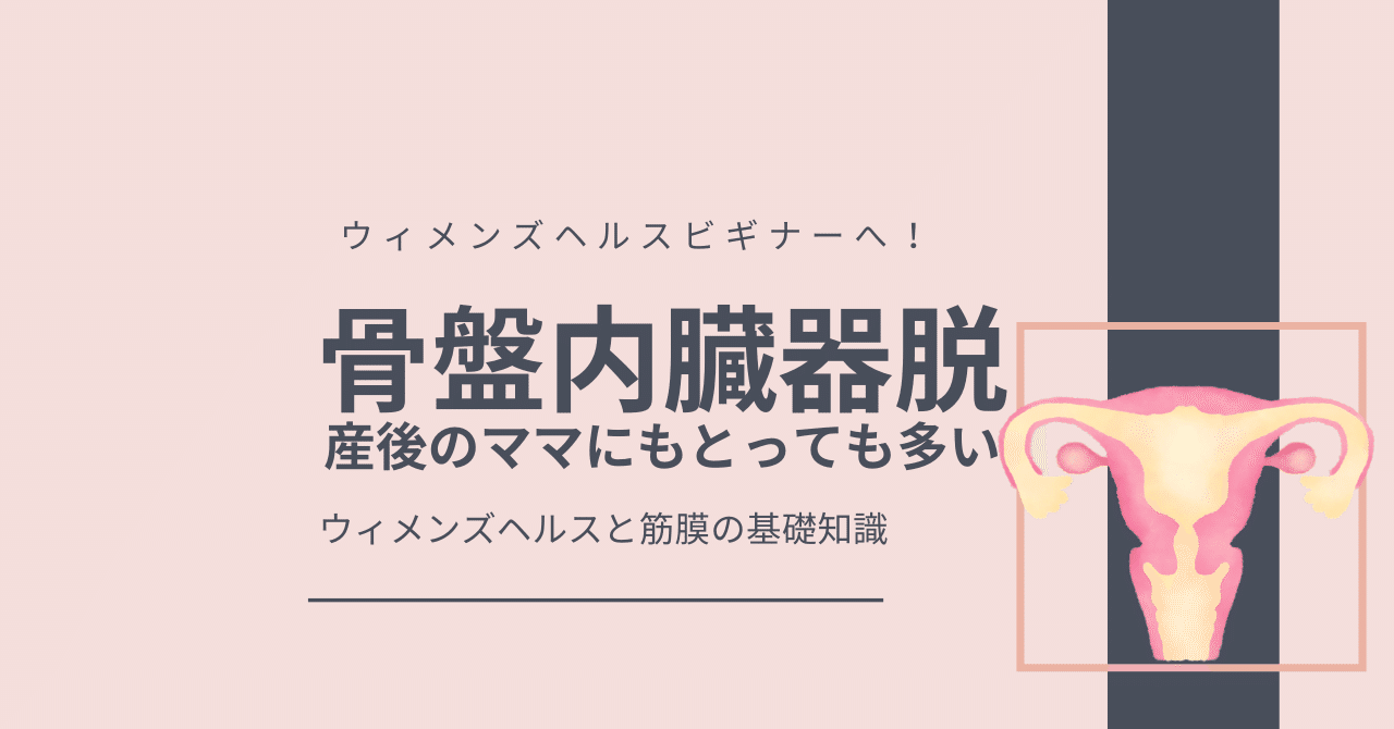 骨盤内臓器脱」の新着タグ記事一覧｜note u2015u2015つくる、つながる、とどける。