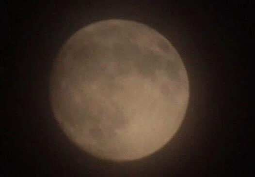 画像11