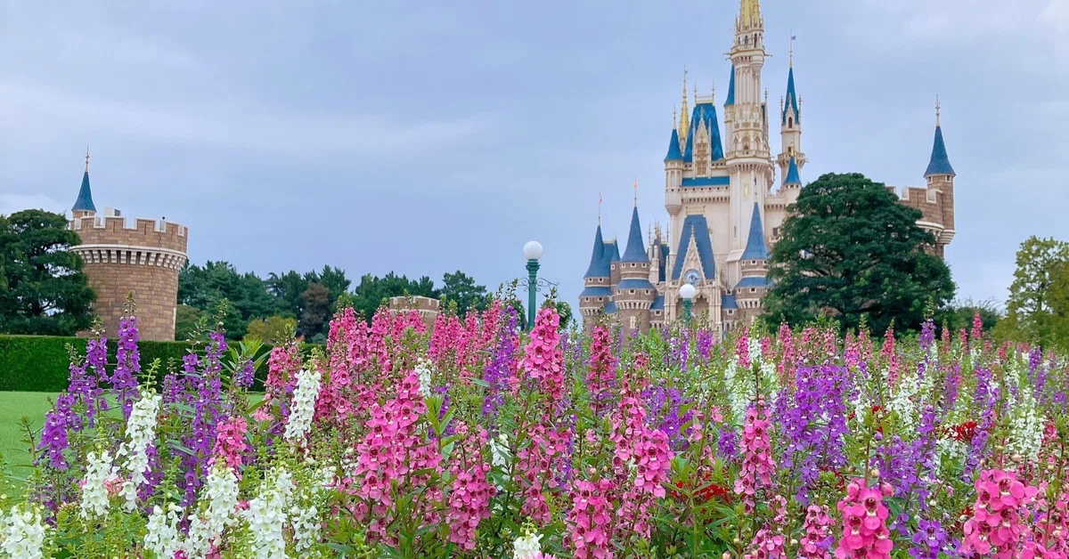 初めてのひとりディズニーがちょ～～楽しかった日記（＆シングル