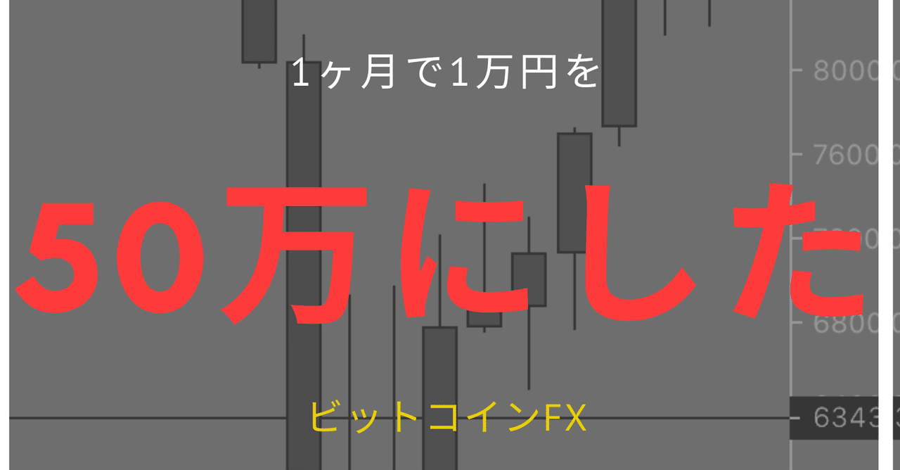 1ヶ月で1万円を50万にしたビットコインfxの方法☆｜M.F.L